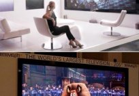 最大的电视世界