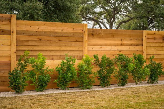 top of the wooden fence budget but for a long time