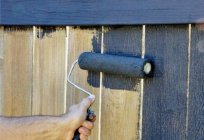 How to paint a wooden fence for a long time cheap: interesting ideas, methods and reviews