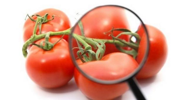 помидорная diyet zayıflama yorumları