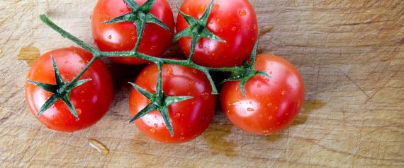 помидорная kilo kaybı için diyet seçenekleri lezzetli diyetler