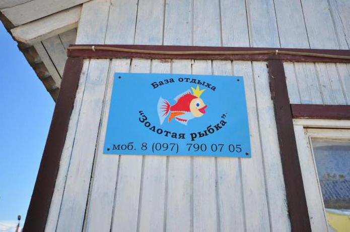 kyrylivka banco de lazer peixinho
