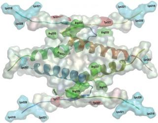  fonksiyonları proteinlerin hücrede tablo 