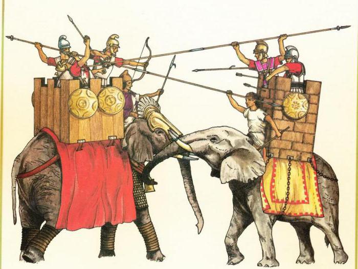 Kriegselefanten von Hannibal