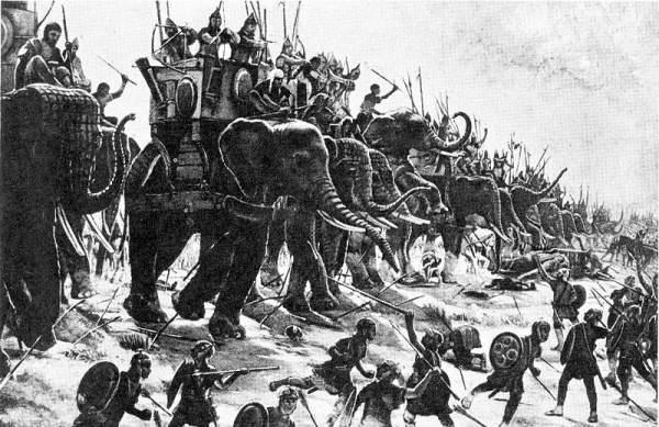 o animal usou contra o combate elefantes