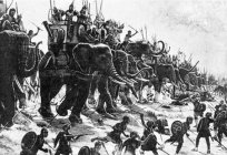 Indiano de combate elefantes: descrição, história e fatos interessantes