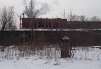 Володимирський хімічний завод: історія, опис, продукція
