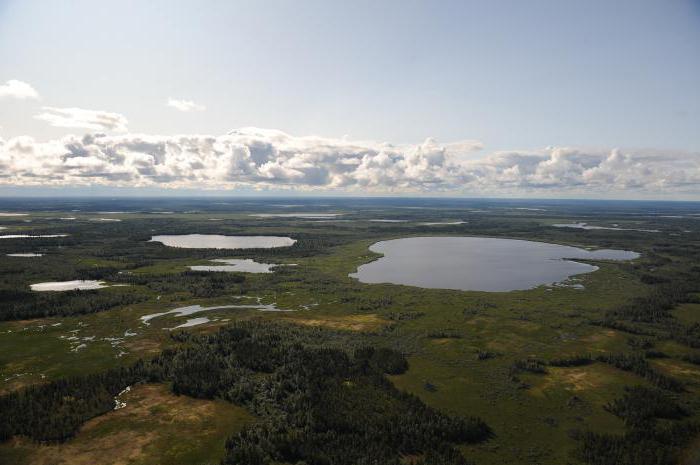 Reserva natural en la Гыданском la península