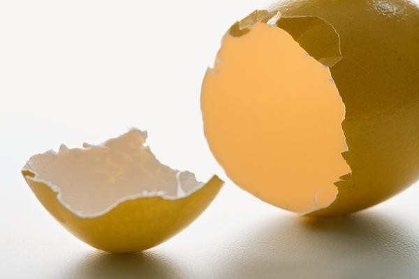 如何使蛋的手工艺