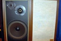 Acústica vintage: características, fabricantes e comentários
