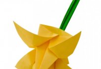 Tulip of paper with their hands