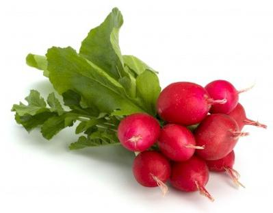 can you eat radish when pregnant