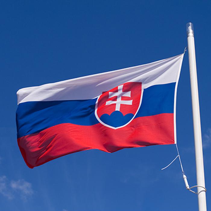 la Bandera de eslovaquia