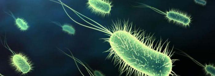 Ursachen für bakterielle Prostatitis