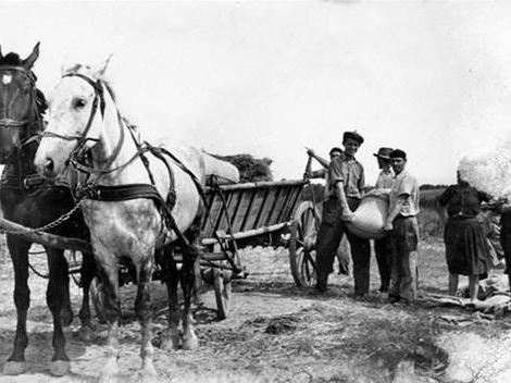 ¿Qué razones impedido el desarrollo de familias de agricultores en 1861