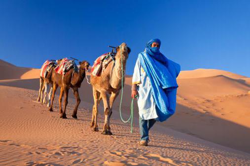 Tuareg tribes history