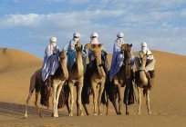 Tuareg kabileleri - mavi insanlar çöl