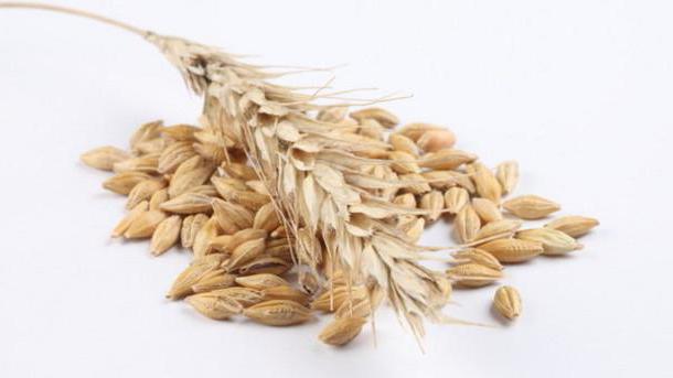 食谱用于治疗的燕麦