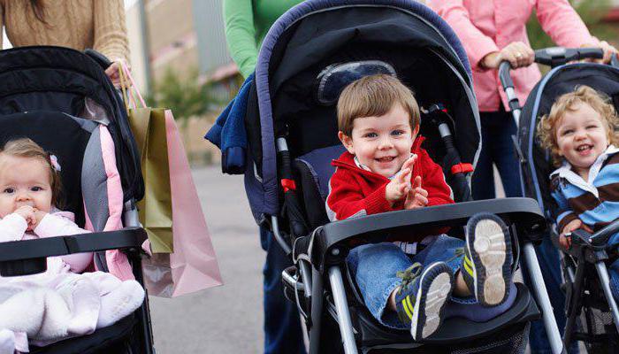 reviews adamex barletta 2 in 1 baby stroller