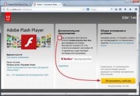 浏览器的插件：Flash Player。 启用，更新、删除-如何做到这一点？