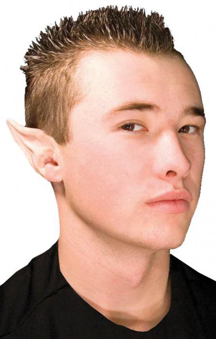 la creación del elfo de orejas
