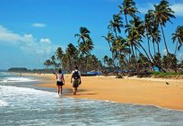 Jose Holiday Home 2* (Goa): photos and reviews of tourists