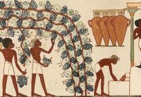 什么是税收在古埃及？ 历史税款