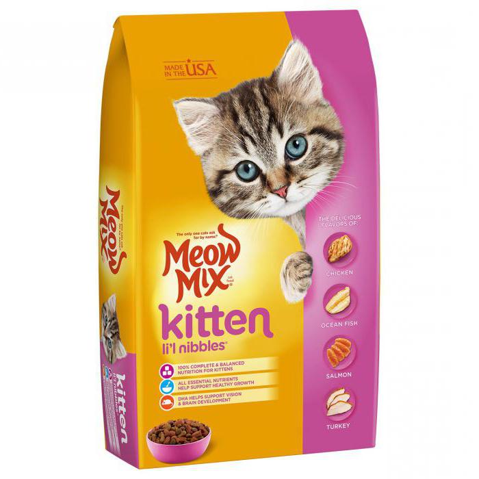 what age do you give kittens dry food reviews