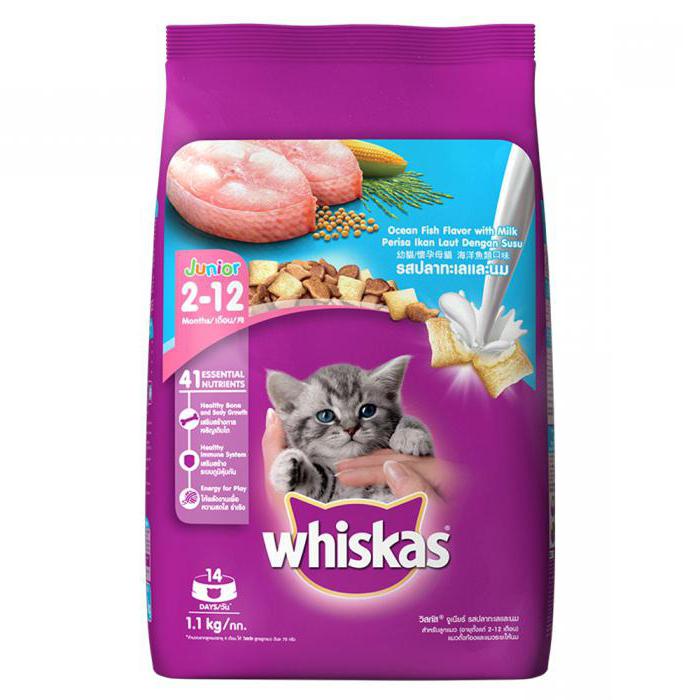 dry food for kittens what age