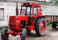 Tractor ЛТЗ-55: especificaciones y los clientes